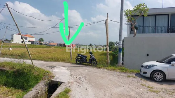 image TANAH LUAS 3.080M² DI RAYA MUNGGU  CANGGU (2)