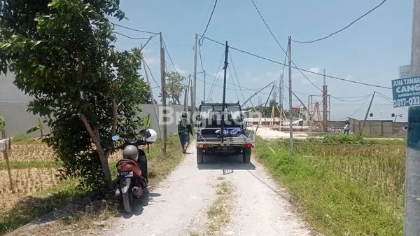 image TANAH LUAS 3.080M² DI RAYA MUNGGU  CANGGU (7)