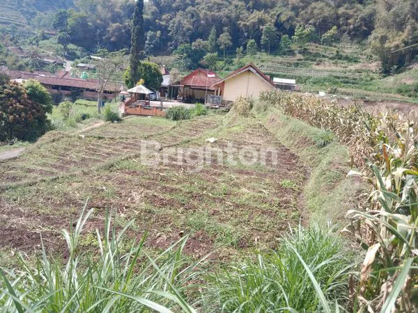 image TANAH DI JUAL DI DUSUN BRAU GUNUNGSARI BUMIAJI KOTA BATU (3)