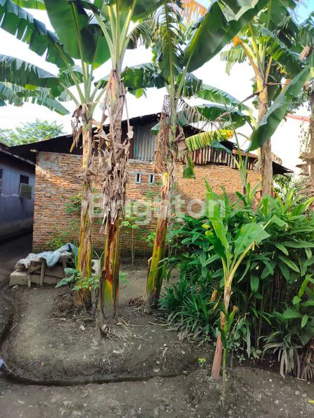 image JUAL RUMAH LAMA DAN TANAH DI MARELAN PASAR 1 REL (7)