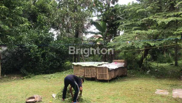 image DIJUAL RUMAH DI JAKAL (6)