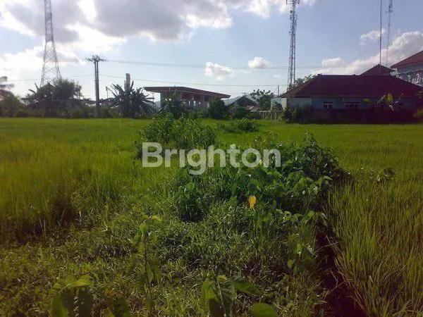 image INVESTASI TANAH 12.000M² PINGGIR JALAN BESAR (3)