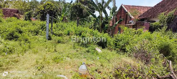 image LAHAN PRIME DI MAGETAN (3)