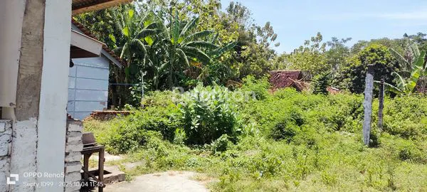 image LAHAN PRIME DI MAGETAN (4)