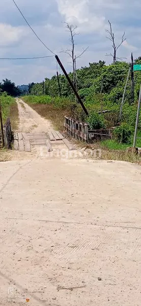 image INVESTASI TANAH STRATEGIS PENAJAM 11.517 M² (2)