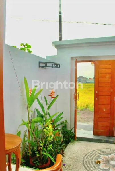 image VILLA RICE FIELD VIEW FULLY FURNISHED IN ABIANBASE MENGWI (5)