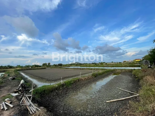 TANAH DI LAMONGAN PERBATASAN MANYAR GRESIK