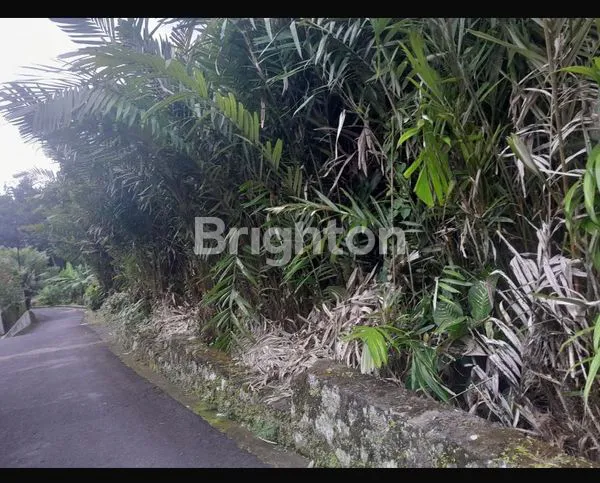 image TANAH PEKARANGAN DI DESA YANG ASRI, 650 METER DARI JL. TURGO - PALAGAN  (3)