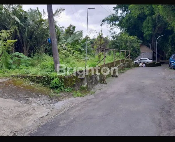 image TANAH PEKARANGAN DI DESA YANG ASRI, 650 METER DARI JL. TURGO - PALAGAN  (4)