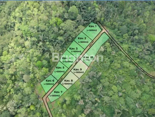 image INVESTASI KEBUN DURIAN TABANAN, FREE PERAWATAN (2)