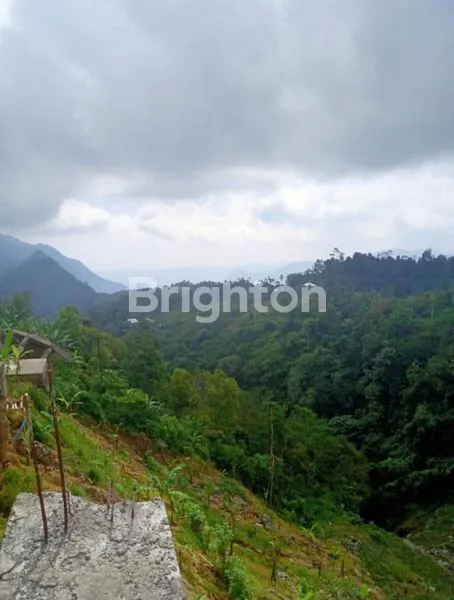 image LAHAN SUBUR 6,5 HEKTAR DI KAWASAN SUKASADA BULELENG (2)