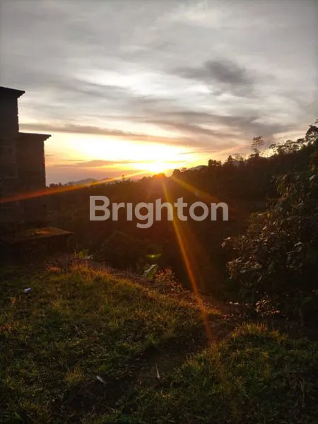 image LAHAN SUBUR 6,5 HEKTAR DI KAWASAN SUKASADA BULELENG (8)