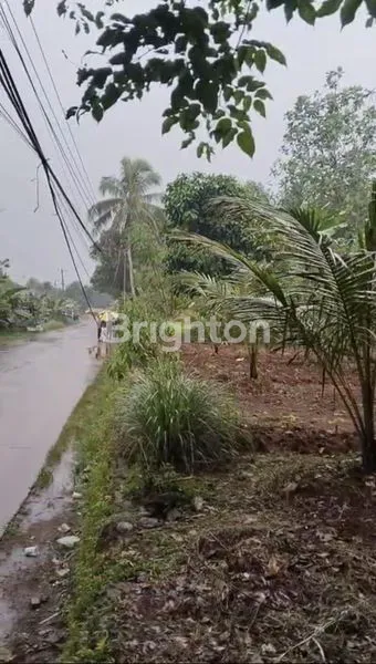 image TANAH DENGAN LUAS 8000 M² (5)