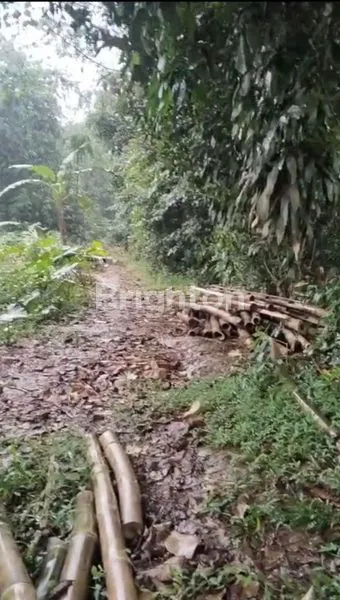 image TANAH DENGAN LUAS 8000 M² (4)