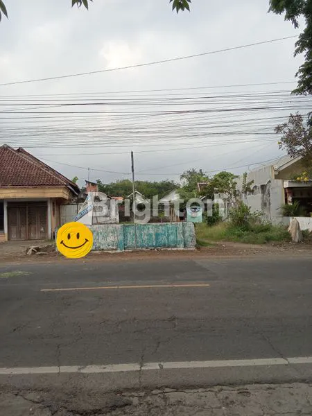 TANAH LUAS 1.686M² DI PECORO JEMBER