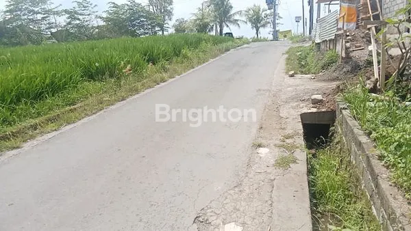 image TANAH COCOK UNTUK VILLA VIEW SAWAH JL. RAYA BUWIT  (6)