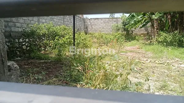 image TANAH COCOK UNTUK VILLA VIEW SAWAH JL. RAYA BUWIT  (3)