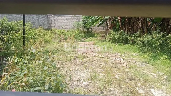 image TANAH COCOK UNTUK VILLA VIEW SAWAH JL. RAYA BUWIT  (4)