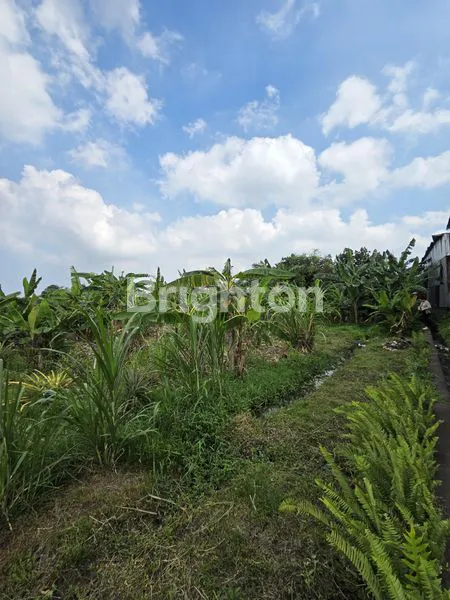 image TANAH LOKASI STRATEGIS DI JL. COKROAMINOTO DENPASAR (7)