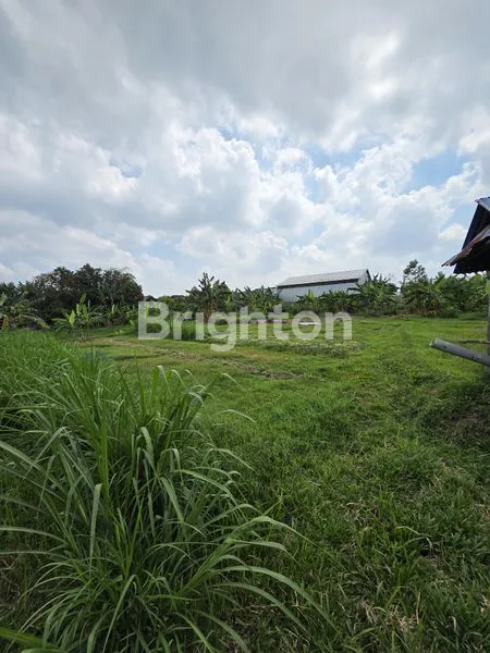 image TANAH LOKASI STRATEGIS DI JL. COKROAMINOTO DENPASAR (5)