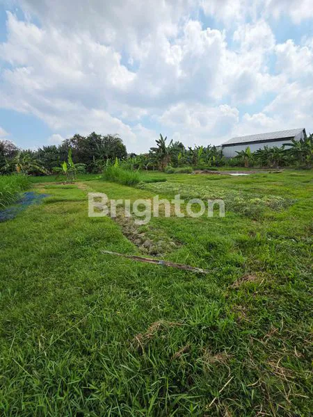 image TANAH LOKASI STRATEGIS DI JL. COKROAMINOTO DENPASAR (3)