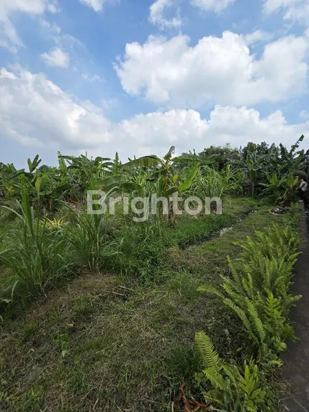 image TANAH LOKASI STRATEGIS DI JL. COKROAMINOTO DENPASAR (2)