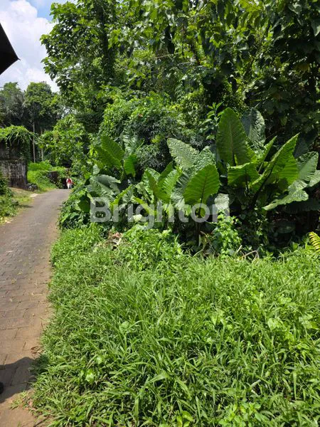 image TANAH STRATEGIS DI TAMAN AYUN  (4)