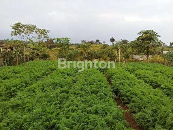 image TANAH MURAH LOKASI PREMIUM BUMIAJI (2)