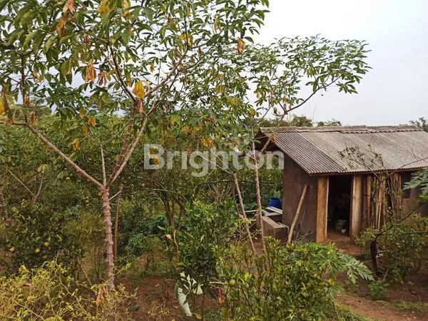 image TANAH MURAH LOKASI PREMIUM BUMIAJI (3)