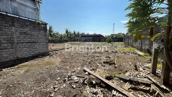 image TANAH STRATEGIS DI JALAN RAYA SAYAN UBUD + BONUS BANGUNAN LAMA (5)