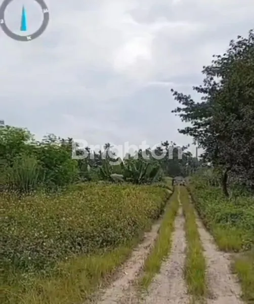 image TNH MURAH LEGOK TANGERANG (1)