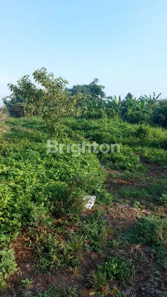 image TNH MURAH LEGOK TANGERANG (5)