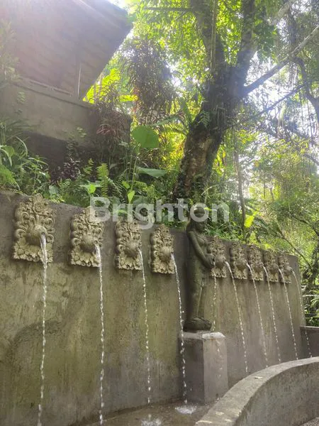 image DIJUAL CEPAT RESOT DENGAN VIEW HUTAN EKSOTIK TEGALALANG  UBUD (2)