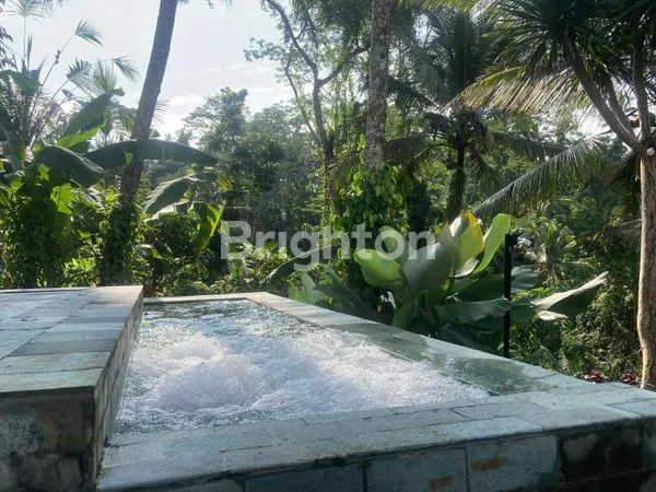 image DIJUAL CEPAT RESOT DENGAN VIEW HUTAN EKSOTIK TEGALALANG  UBUD (1)