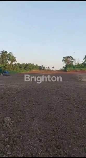 image DIJUAL TANAH KAPLING DIKEDUNGU PER ARE 550 JUTA (3)