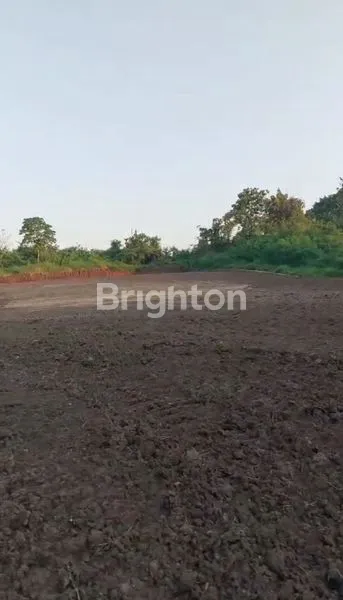 image DIJUAL TANAH KAPLING DIKEDUNGU PER ARE 550 JUTA (2)