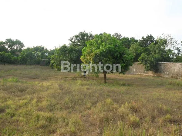 image TANAH SIAP BANGUN DI JEPARA. COCOK UNTUK PERGUDANGAN, USAHA ATAU HUNIAN (2)