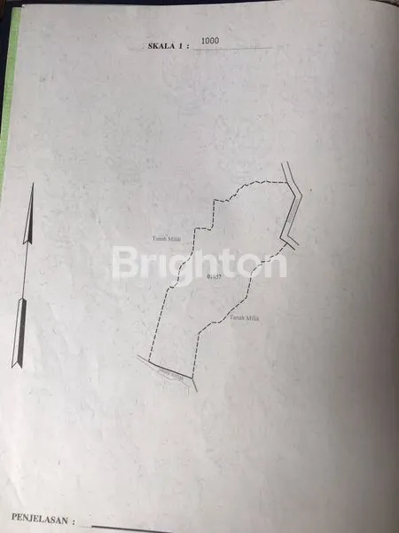 image TANAH LUAS AREA PREMIUM MUNGGU PERERENAN COCOK UNTUK VILLA KOMPLEK (8)