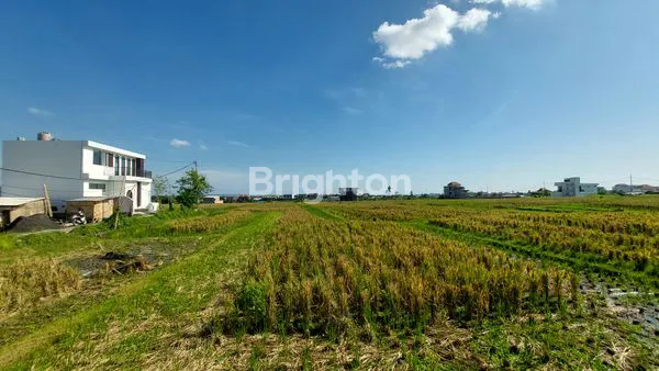 image TANAH LUAS AREA PREMIUM MUNGGU PERERENAN COCOK UNTUK VILLA KOMPLEK (3)