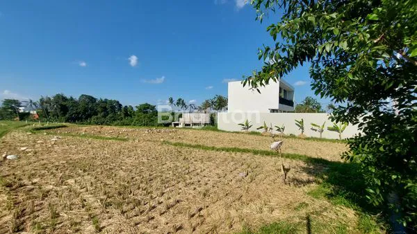 image TANAH LUAS AREA PREMIUM MUNGGU PERERENAN COCOK UNTUK VILLA KOMPLEK (2)