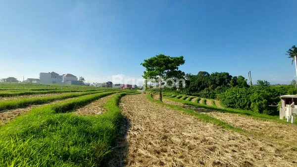 image TANAH LUAS AREA PREMIUM MUNGGU PERERENAN COCOK UNTUK VILLA KOMPLEK (5)
