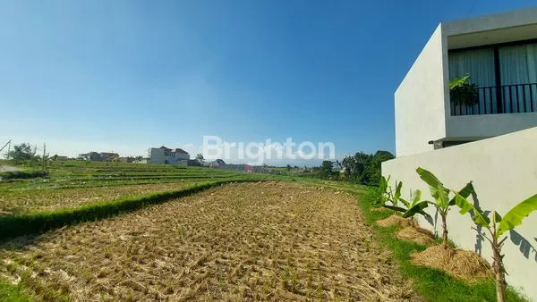 image TANAH LUAS AREA PREMIUM MUNGGU PERERENAN COCOK UNTUK VILLA KOMPLEK (6)