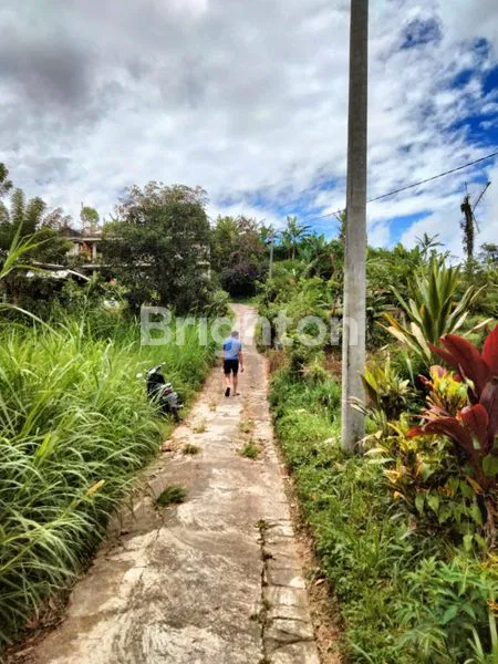 image TANAH 1650 SQM BATURITI ZONA KUNING AKSES JALAN BETON MOBIL BISA MASUK (1)