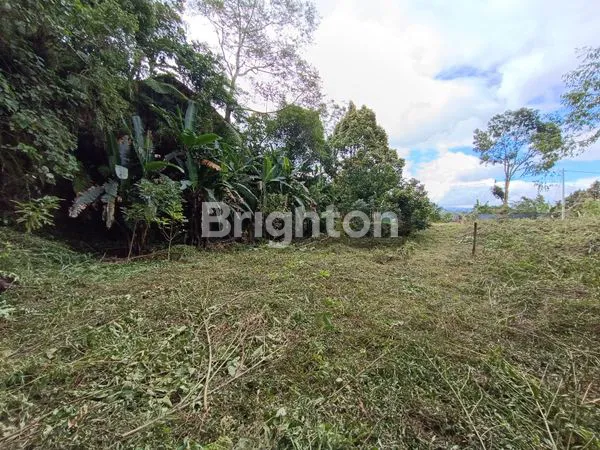 image TANAH 1650 SQM BATURITI ZONA KUNING AKSES JALAN BETON MOBIL BISA MASUK (8)