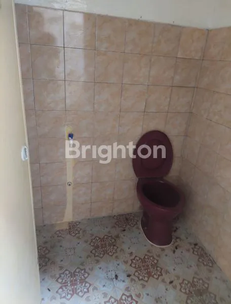 image RUMAH 1 TINGKAT (4)