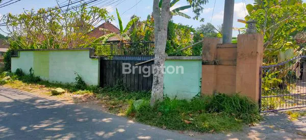 image DISEWA TANAH 7,8 ARE - UBUD SRIWEDARI (3)