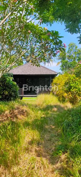image DISEWA TANAH 7,8 ARE - UBUD SRIWEDARI (4)