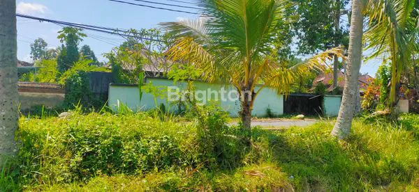 image DISEWA TANAH 7,8 ARE - UBUD SRIWEDARI (5)