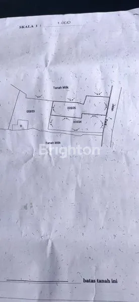 image DISEWA TANAH 7,8 ARE - UBUD SRIWEDARI (6)