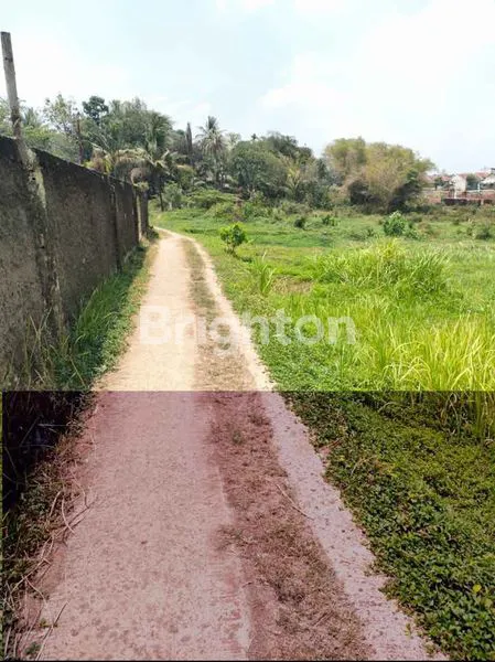 image TANAH BOGOR (8)